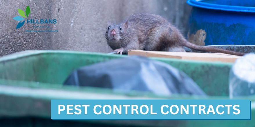 pest control contracts