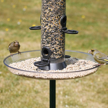 messy bird feeder hillbans