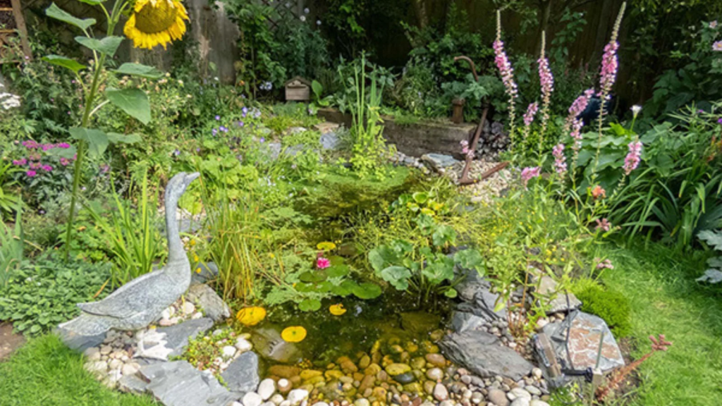 Wildlife Friendly Gardens 